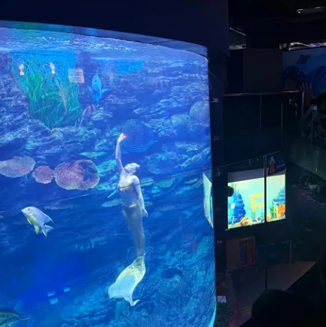 부산 아쿠아리움 최대 할인 방법 (최저가 입장료 구매)