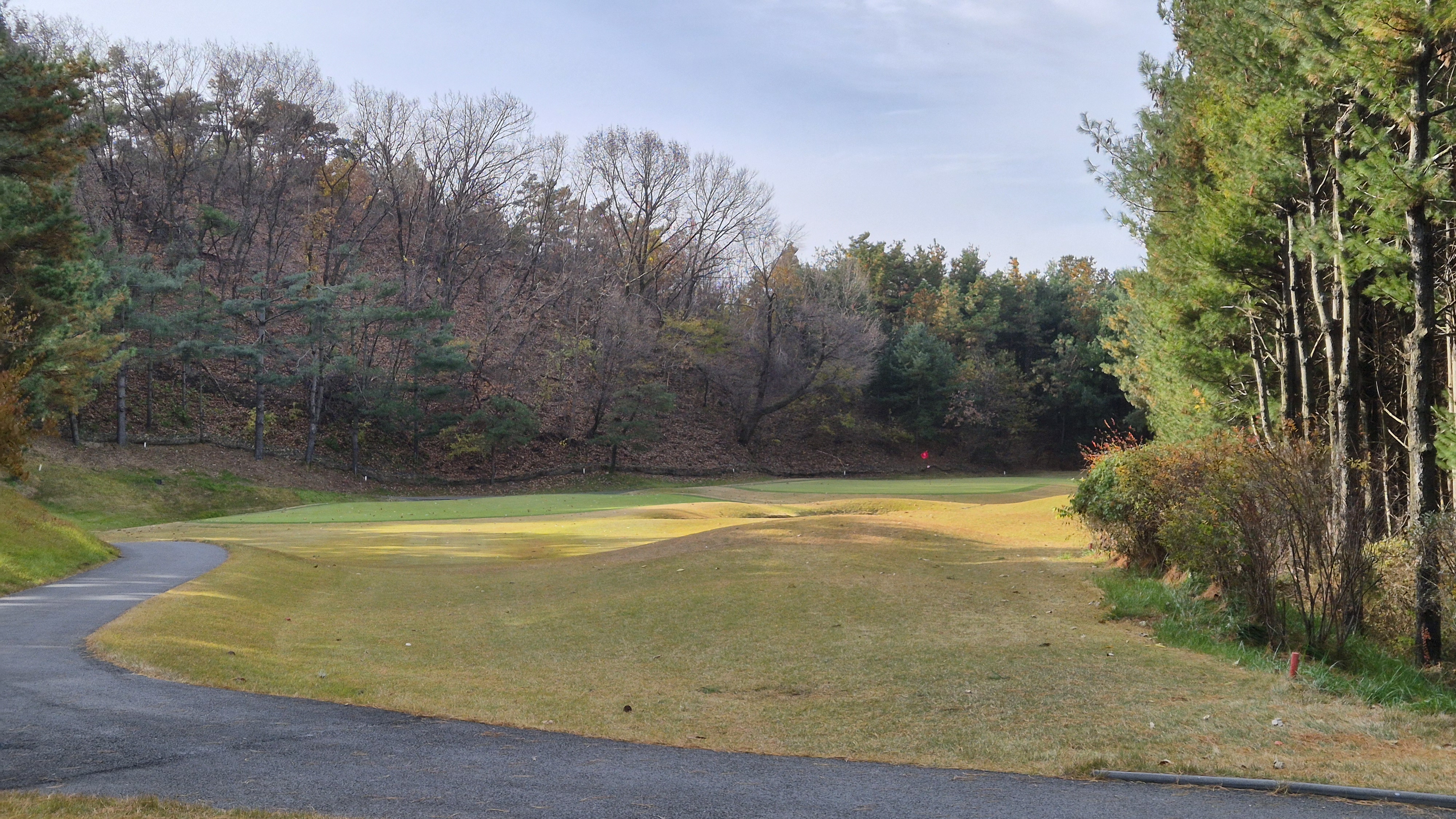 세종에머슨cc 밸리코스 사진 및 공략 정보