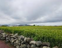 가파도 배편 예약