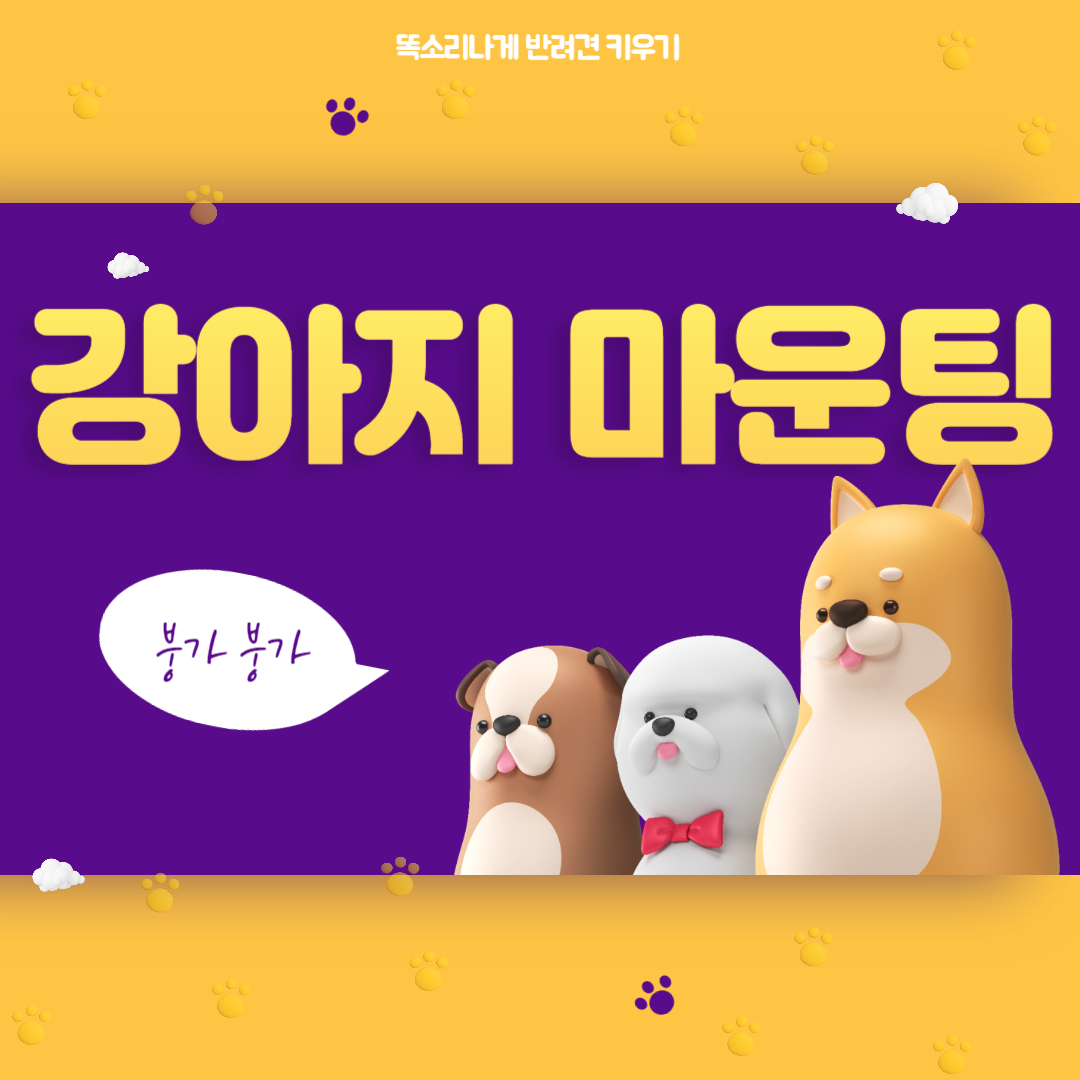 강아지마운팅 원인과 해결방법