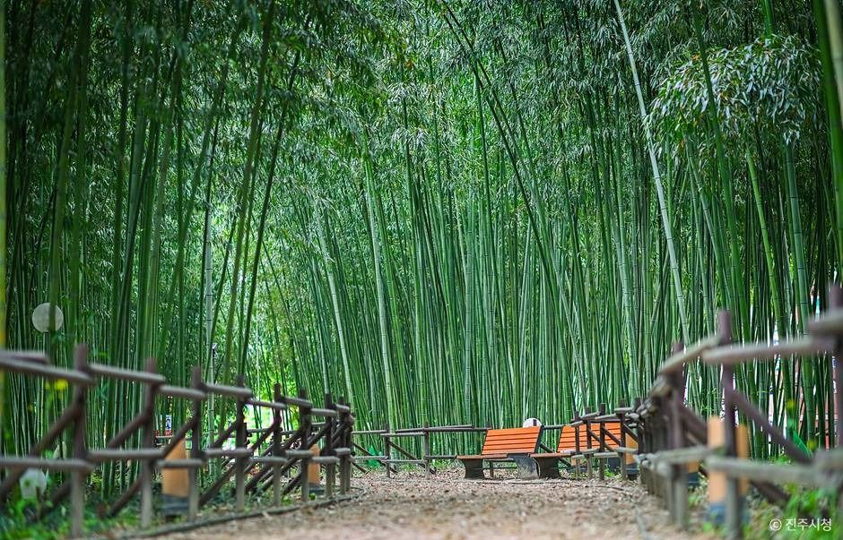 진주 가볼만한곳 베스트10