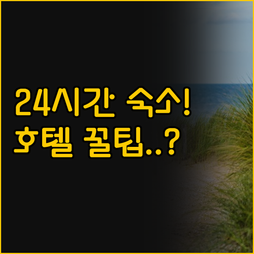 다낭 도심 숙소 선택 꿀팁 윙크 호텔..