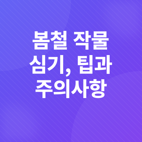 봄철 텃밭 가꾸기_5