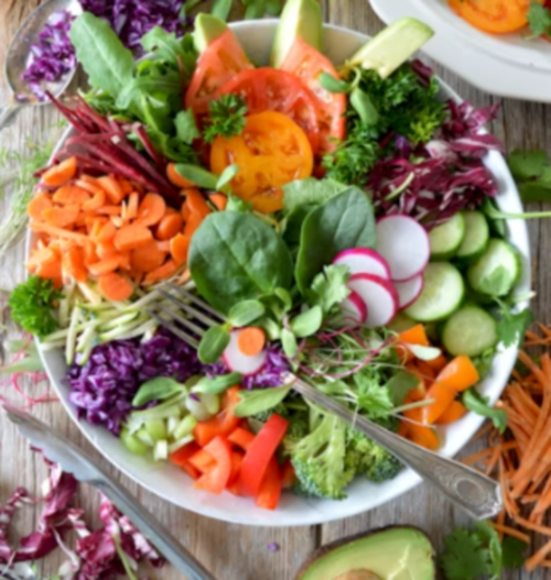 저속노화 식단 지중해식