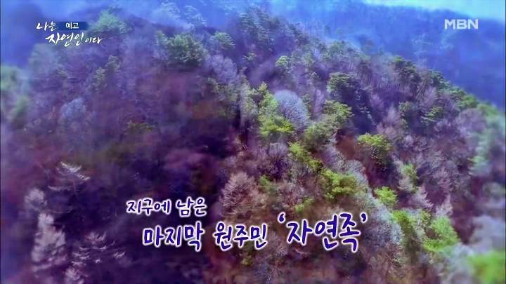 나는 자연인이다 티베트 스타일 옥순봉 고추장 피자 해처럼 바람처럼 자연인 이가영 소개 및 이승윤 출연 542회 다시보기