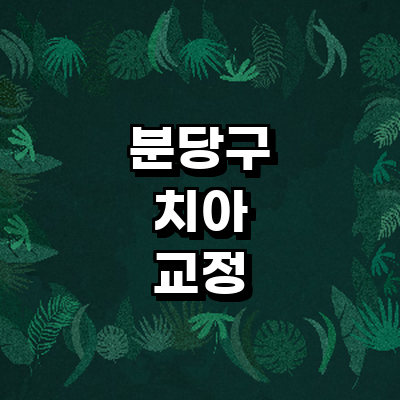 성남 분당구 교정 치과