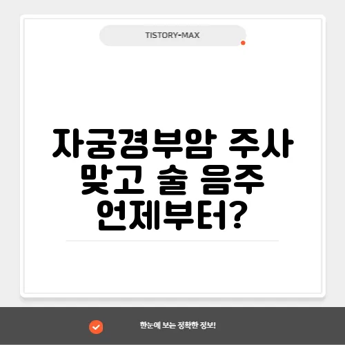자궁경부암 주사 맞고 술 음주 언제부터?