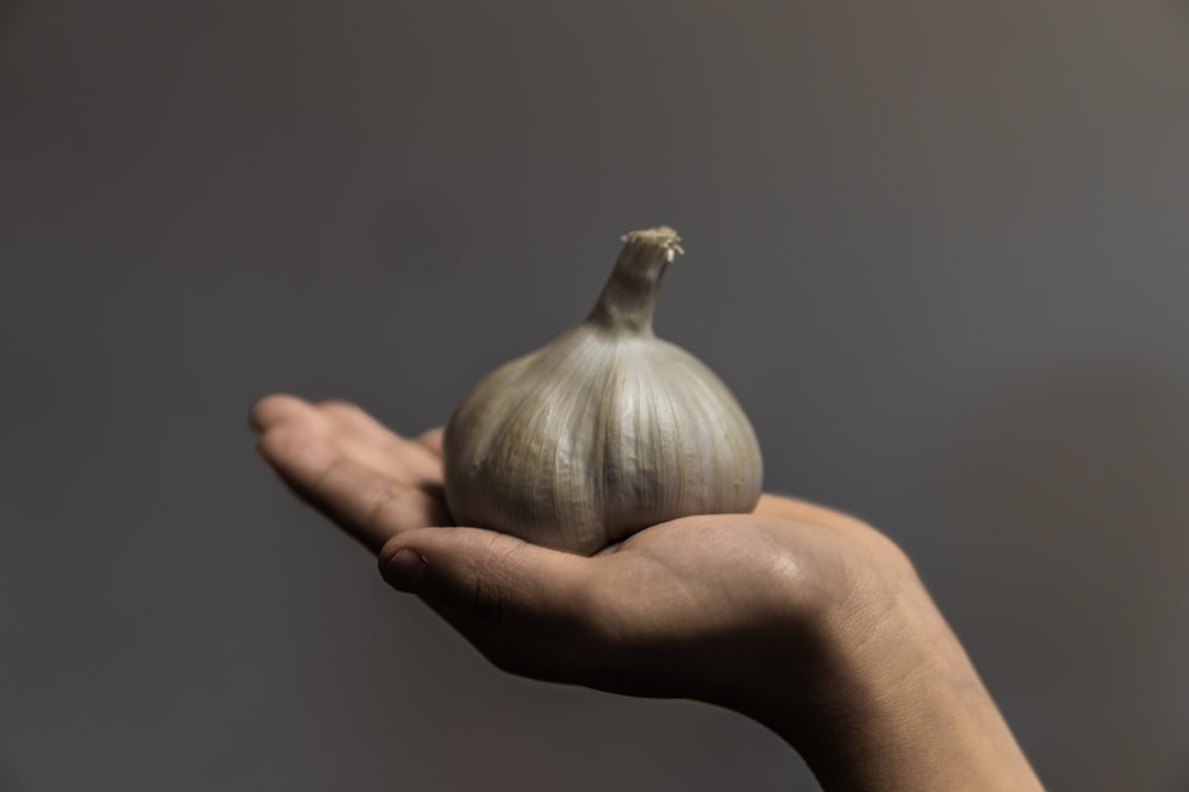 Garlic