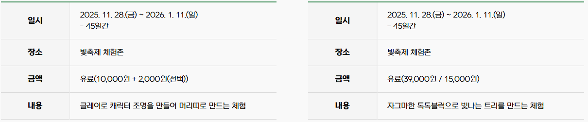 2025 함평 겨울빛축제