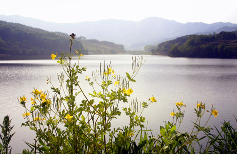 5도2촌 뜻 세컨하우스 시골집 월세 농막 주택 총정리 4