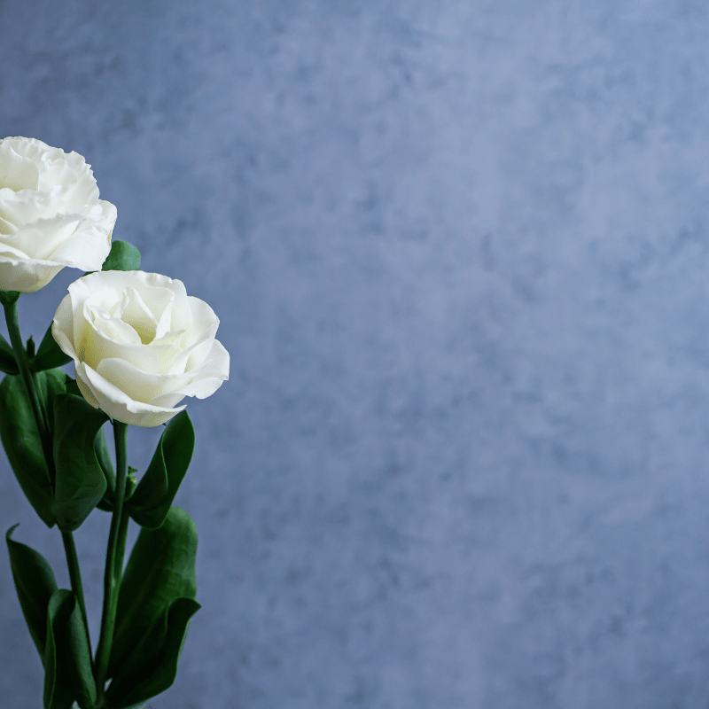 부고 조문 안내 문자 위로 문자