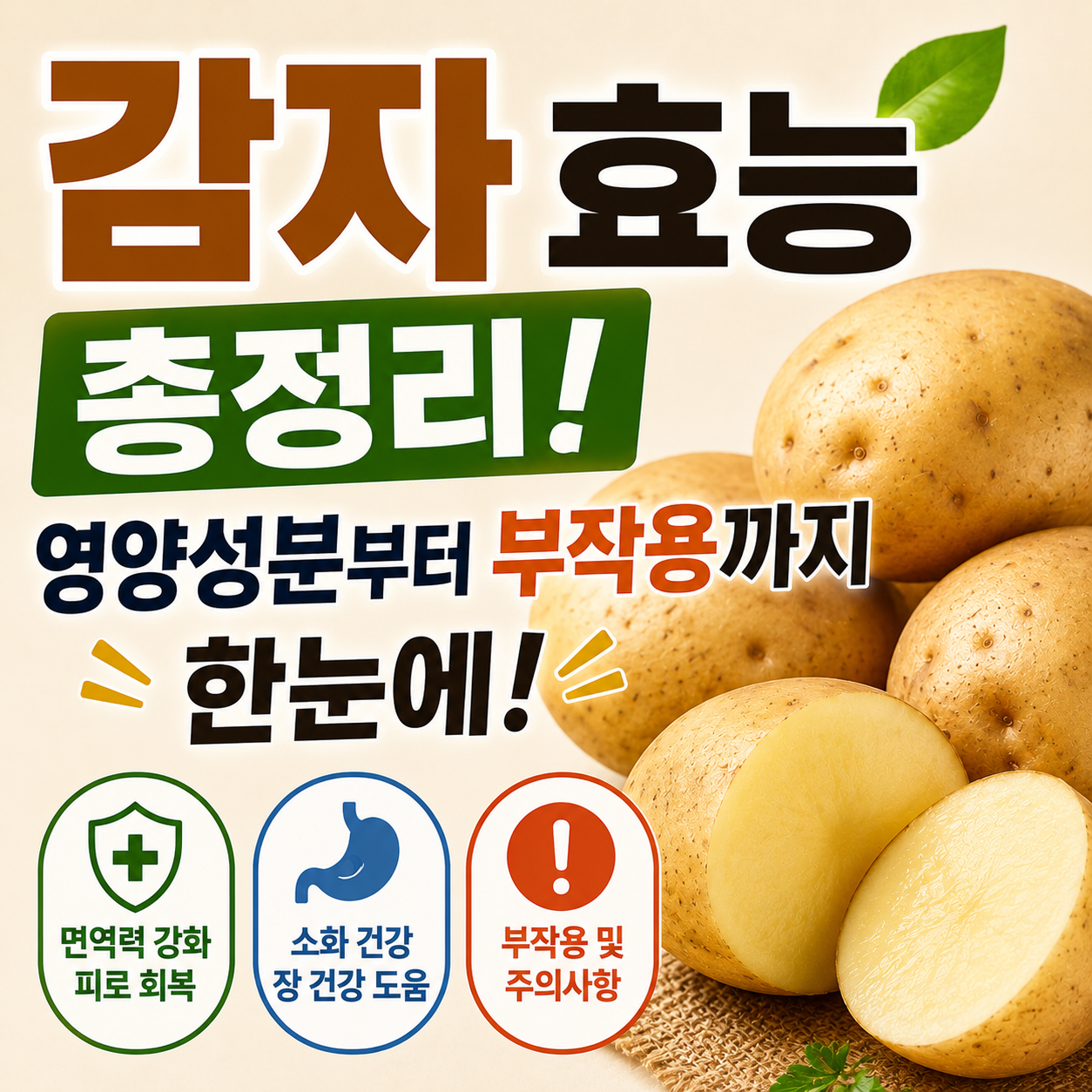 감자 효능