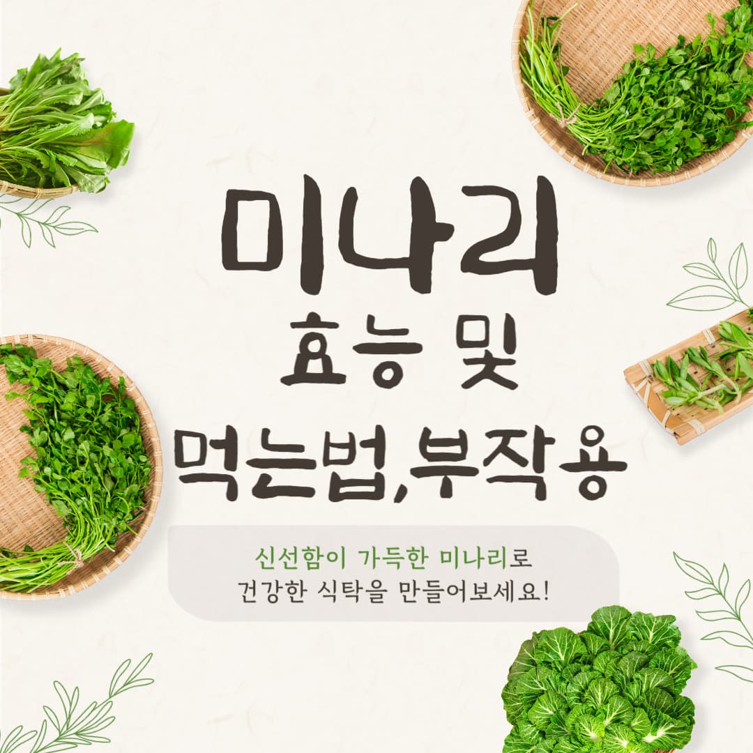 미나리 효능과 먹는법, 부작용