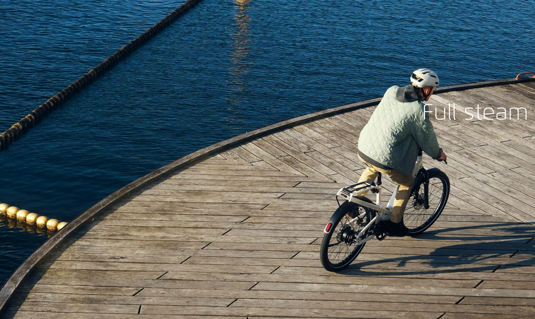 Riese &amp; M&uuml;ller 홈피 컷 5