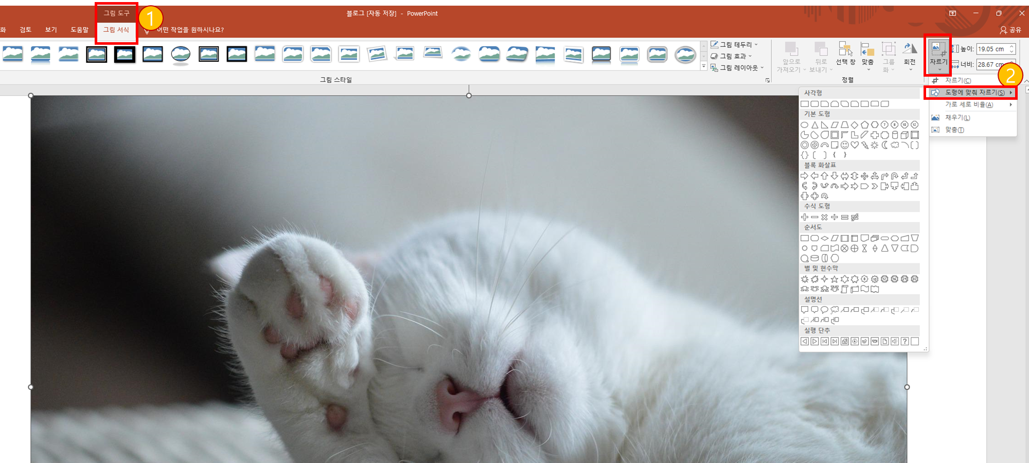 그림서식에서 자르기 버튼 누르기