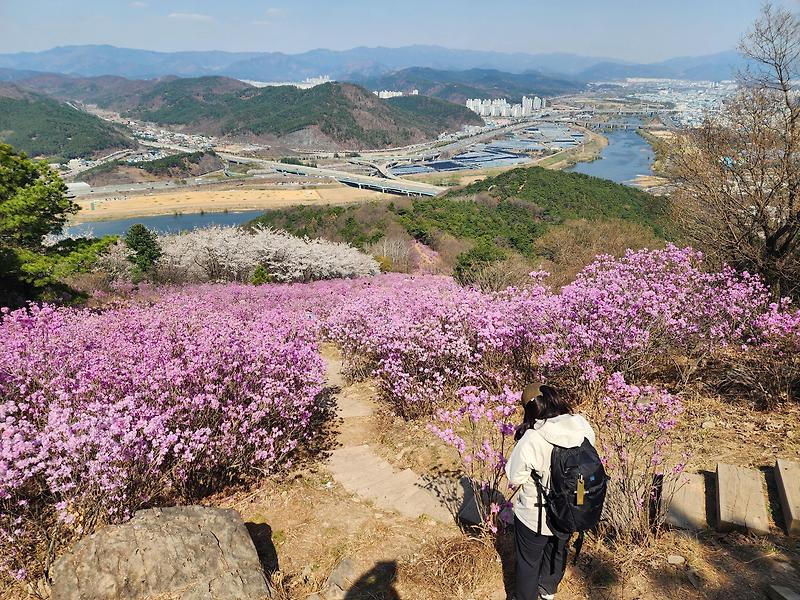 와룡산