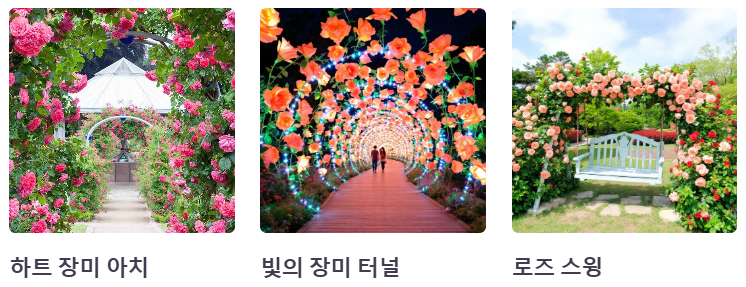 포토존