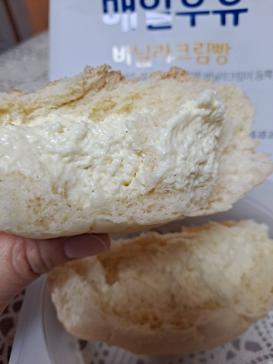 빵 속 바닐라 크림 듬뿍