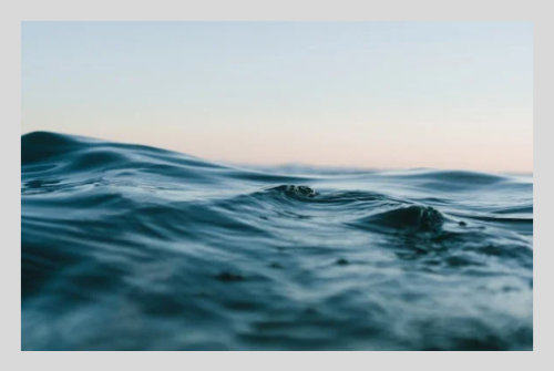 러브버그 방역법