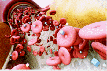 제 2형 당뇨병 관리