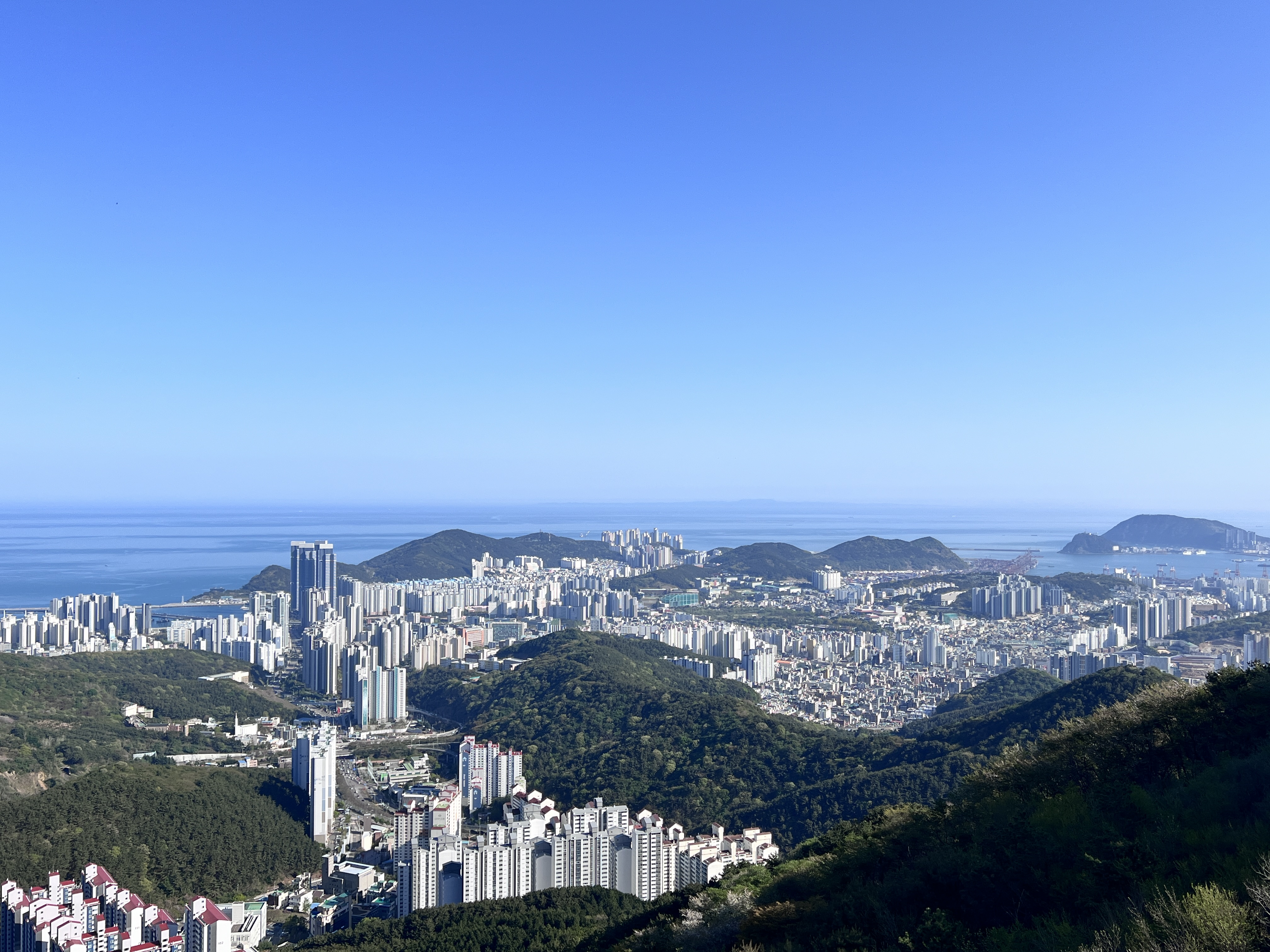 부산 뷰좋은 카페 블루뱅