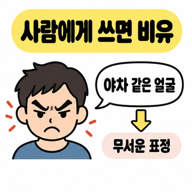 눈썹을 찌푸린 사람 얼굴 옆에 야차 같은 얼굴이라는 말풍선과 무서운 표정이라는 풀이를 연결한 비유 예시