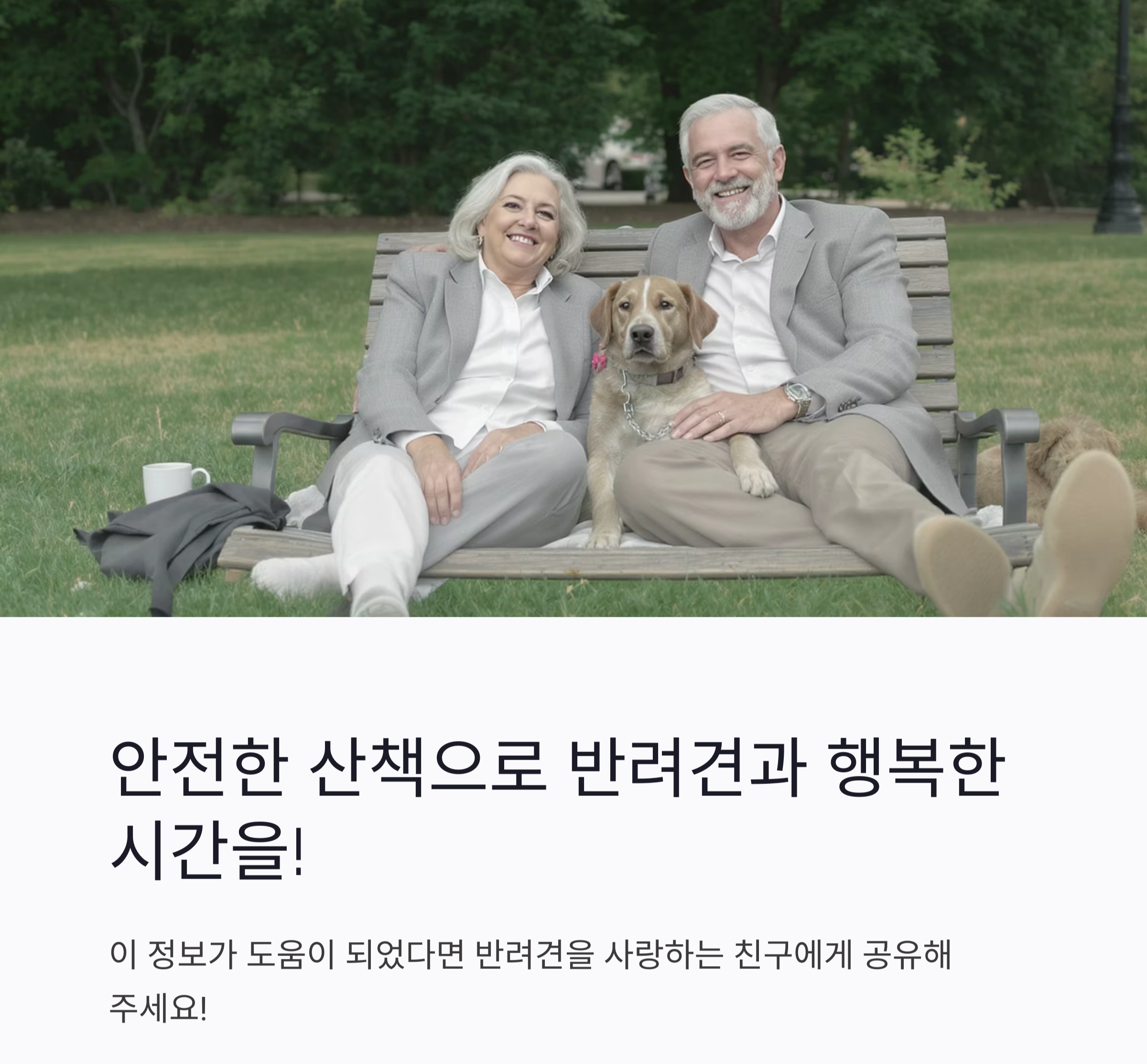 강아지 산책 시 꼭 알아야 할 필수 주의사항 7가지