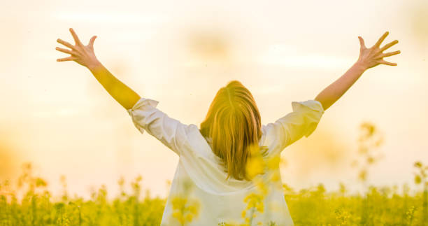 마음은 이렇게 진화한다 – 상처에서 사랑으로