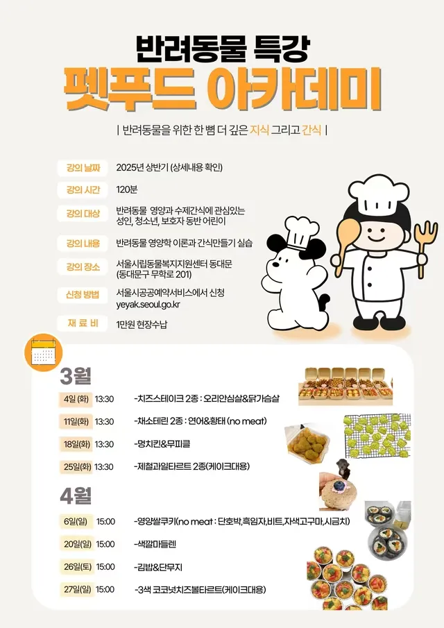 2025 서울시립동물복지지원센터 동대문 펫푸드 아카데미 신청 방법 및 일정 – 반려견 간식 만들기 강좌 총정리