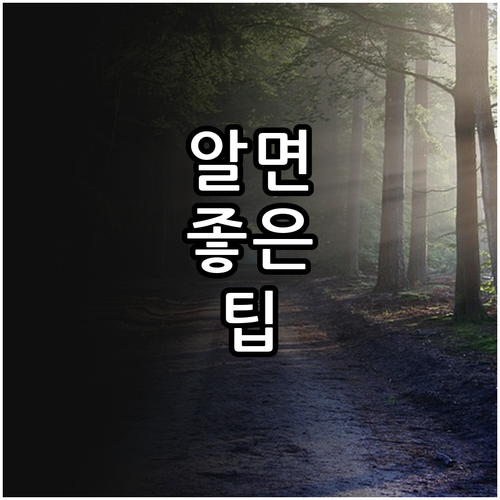 2025년 부산 남구 청년 응시료 지..