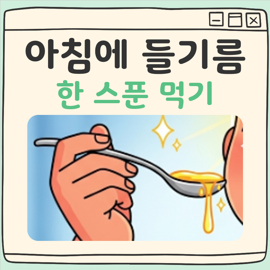 아침에 들기름 한스푼 먹기