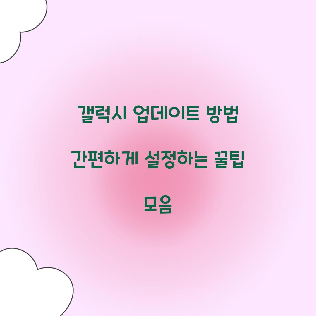 갤럭시 업데이트 방법