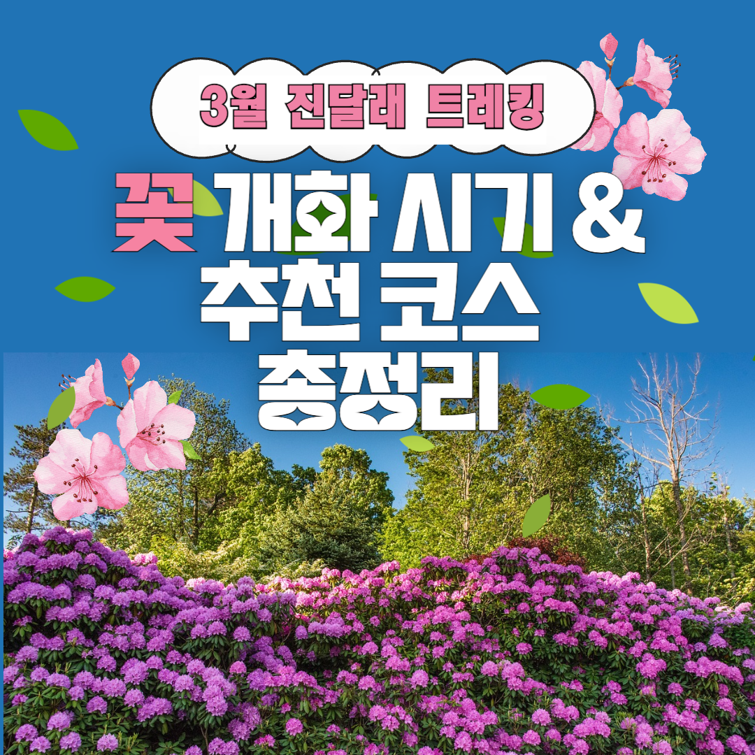 3월 진달래 트레킹을 위한 꽃 개화 시기와 추천 코스 총 정리 관련 사진