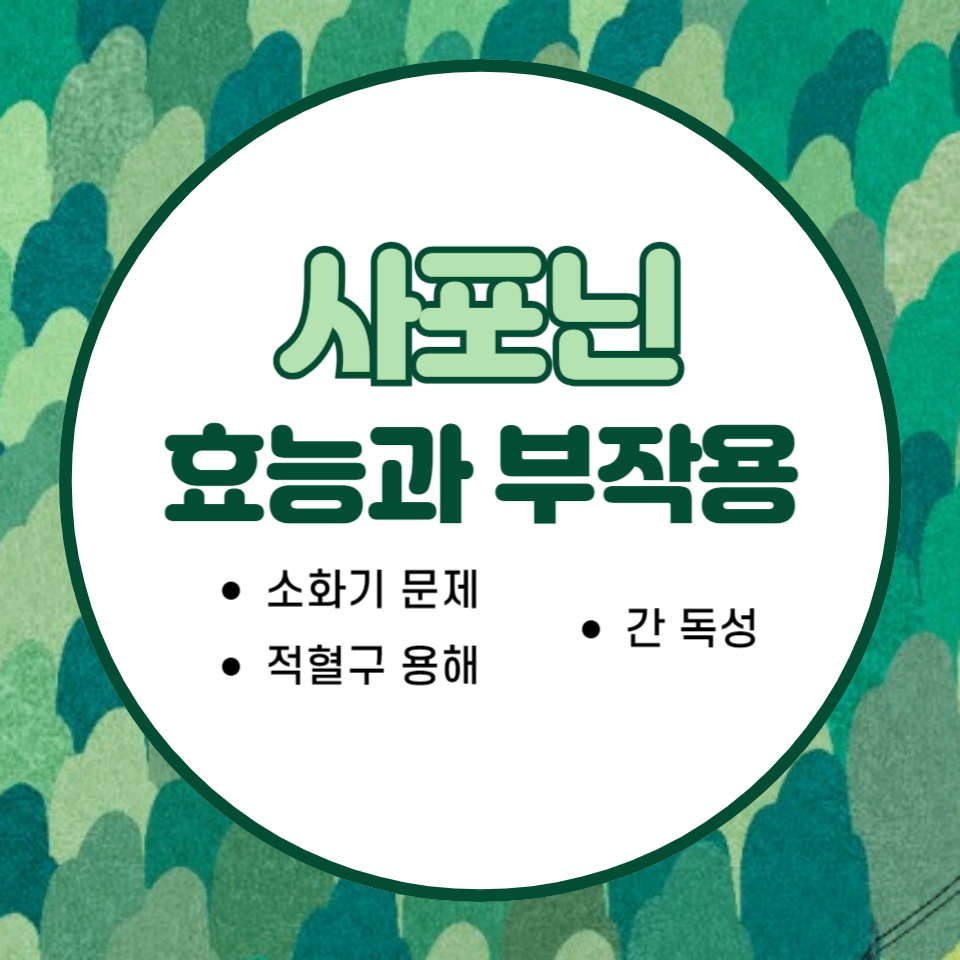 사포닌 효능과 부작용