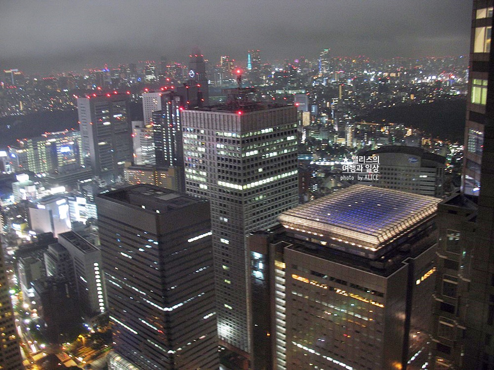 일본 도쿄 여행 필수 지하철패스 할인 교환 이용방법 (메트로 및 도에이 지하철 무제한)