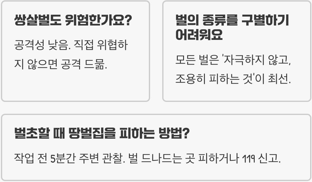 땅벌 vs 장수말벌 vs 꿀벌, 쏘였을 때 가장 위험한 벌은?
