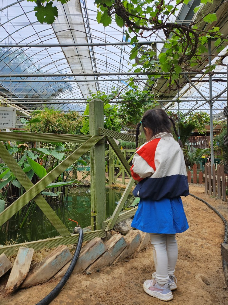 연못을 구경하는 아이