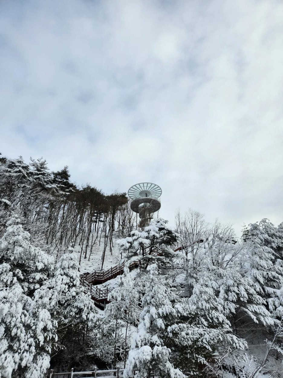 충북 영동 도마령 겨울 드라이브 명소의 재발견