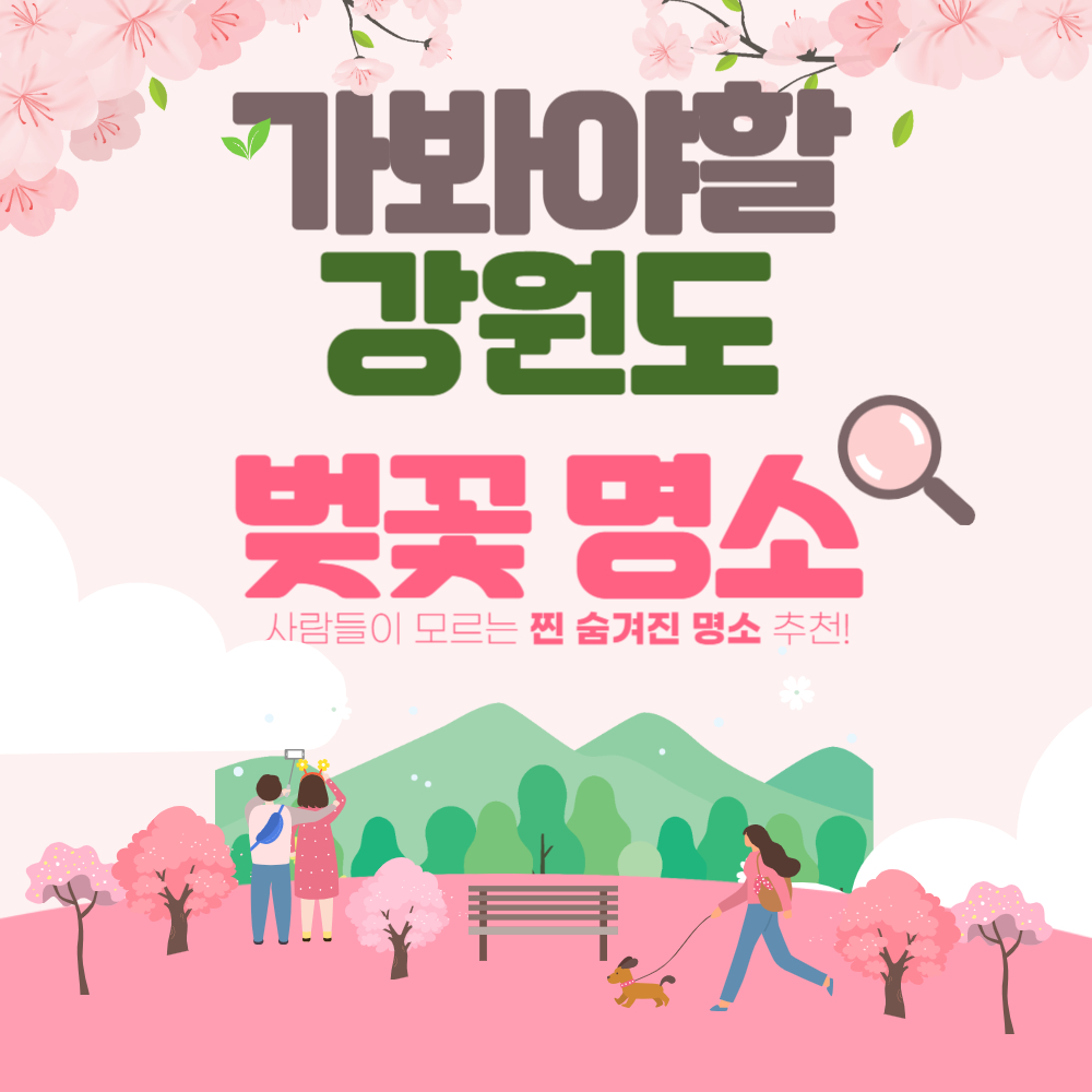 2024년 숨겨진 강원도 벚꽃 명소 BEST 10