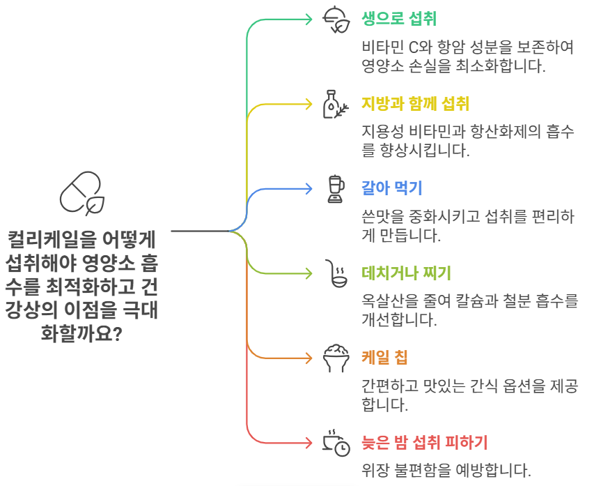 컬리케일 섭취방법