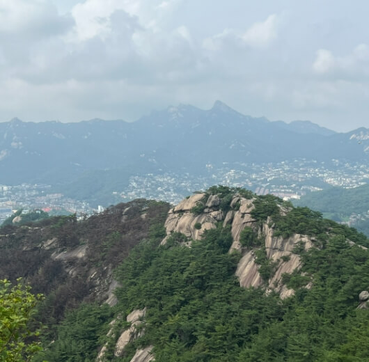 높은 산