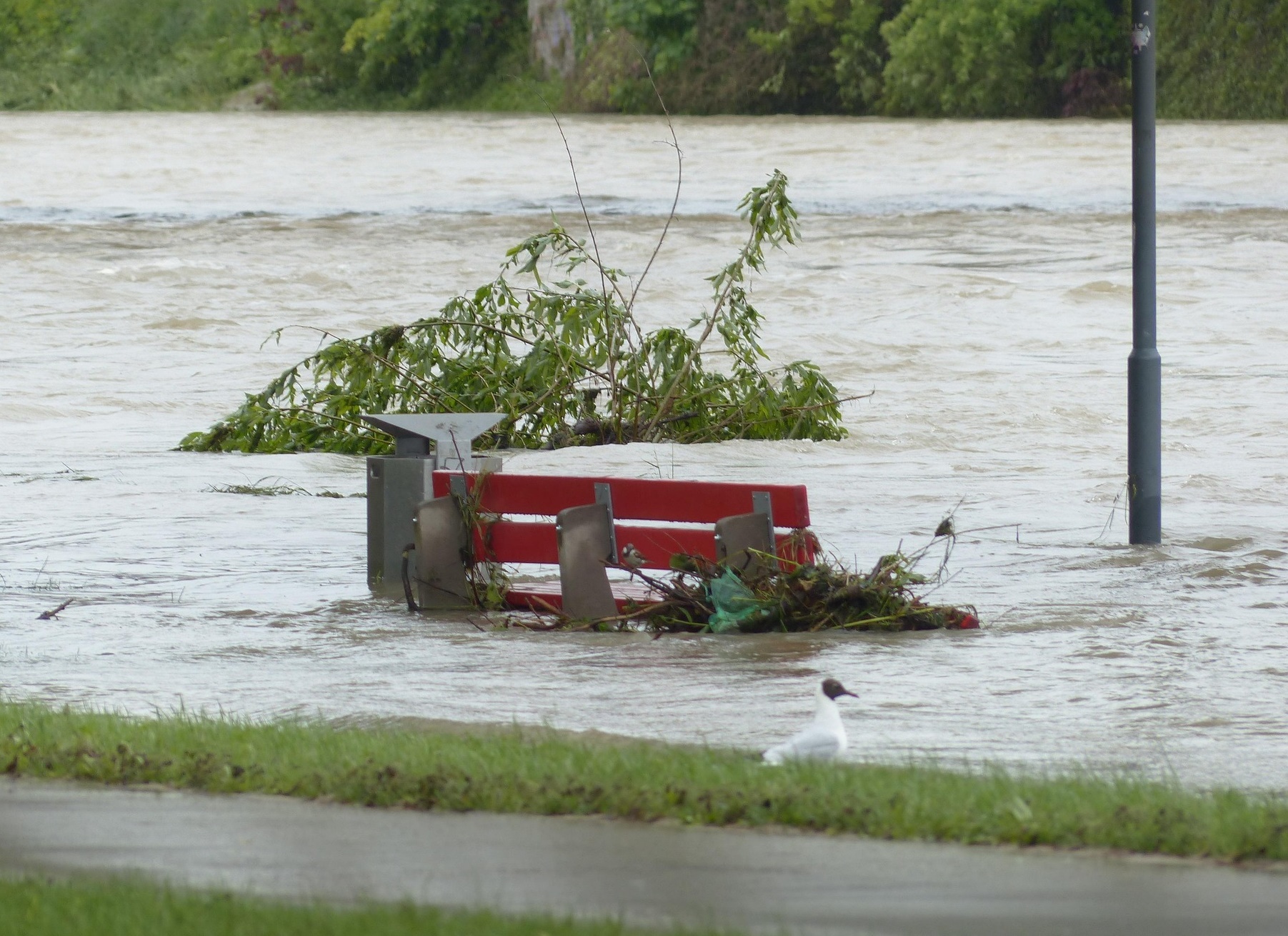 폭우&middot;홍수는 왜 이제 &lsquo;계절 현상&rsquo;이 아니라 &lsquo;경제 재난&rsquo;이 되었는가!
