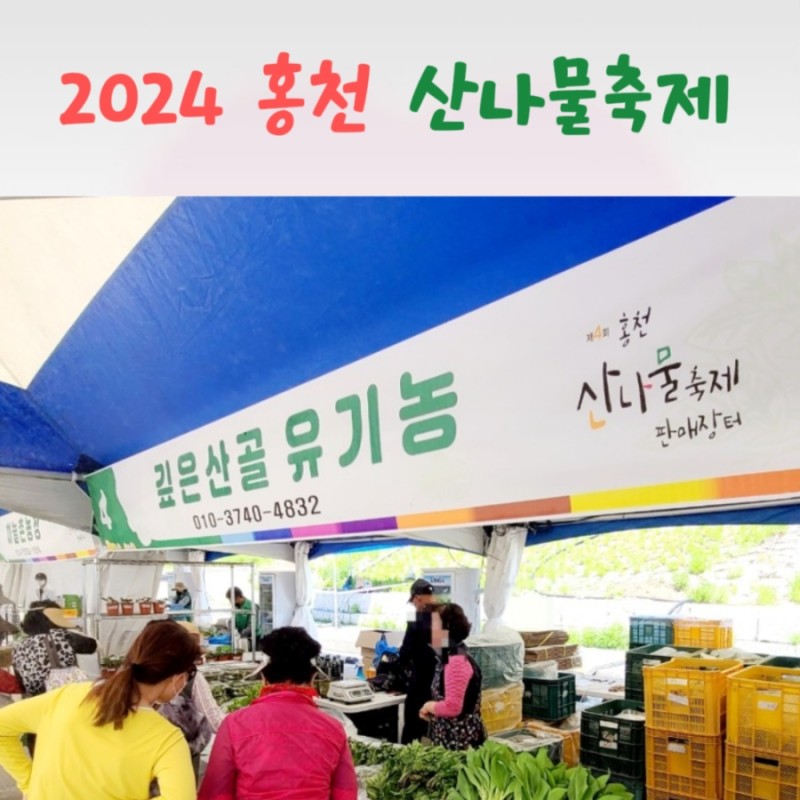  강원 N 홍천 산나물 축제 특징