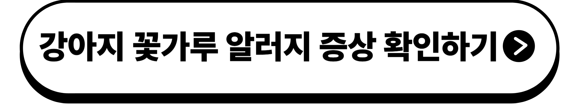 강아지도 꽃가루 알러지가? 필수 대처법 5가지