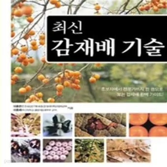 감 재배 탄저병 방제 가지 치기 저장 요령_12