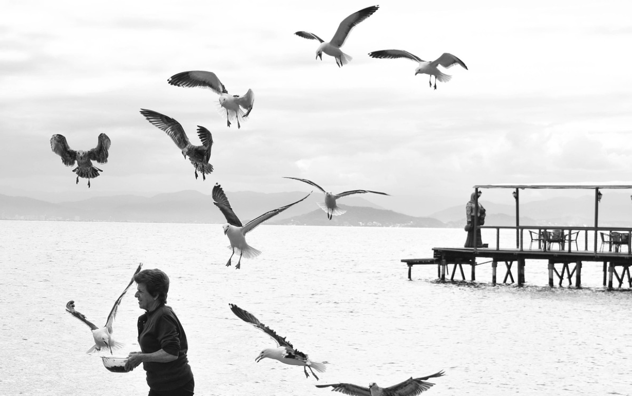 브라질 플로리아노폴리스 산타 카타리나 해변