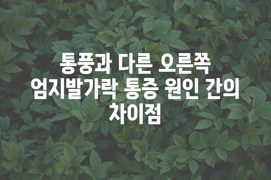 통풍과 다른 오른쪽 엄지발가락 통증 원인 간의 차이점