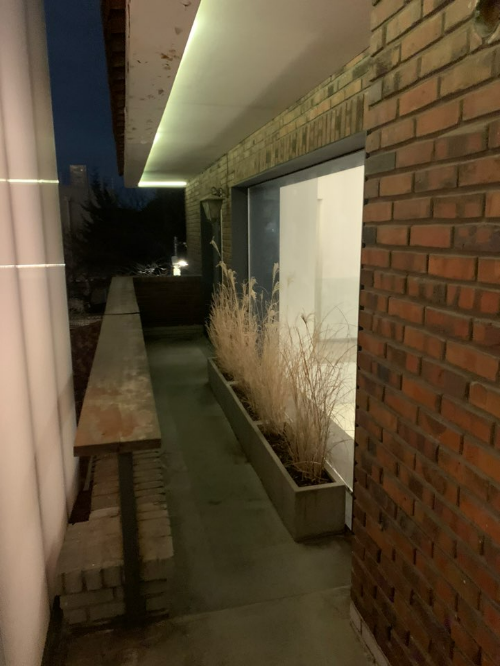 베이글 맛있게 먹는 법