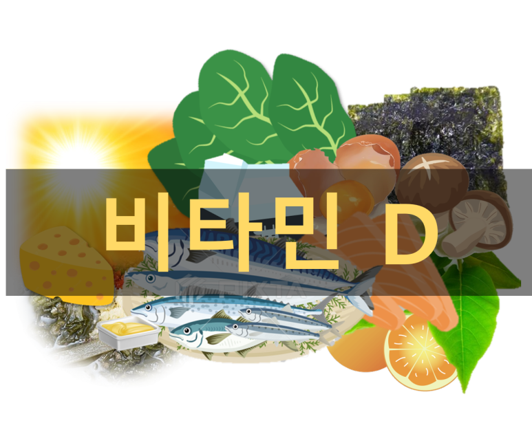 비타민D Main