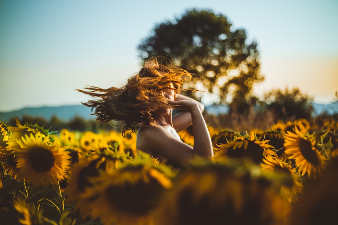 Sunflower oil